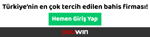 youwin oranlar ve kazanç görseli